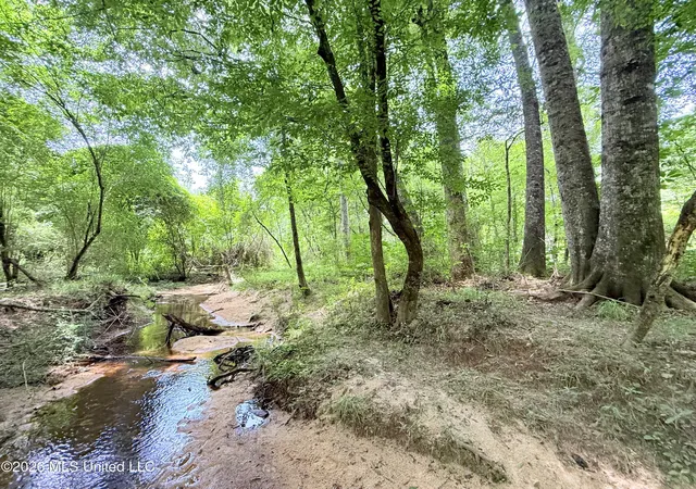 Homes for sale in Summit, MS | Summit Dr, Summit, MS 39666 | MLS# 4153698