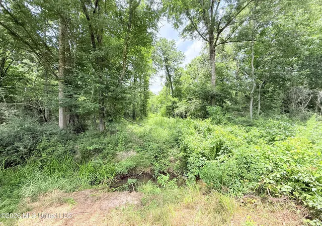 Homes for sale in Summit, MS | Summit Dr, Summit, MS 39666 | MLS# 4153698