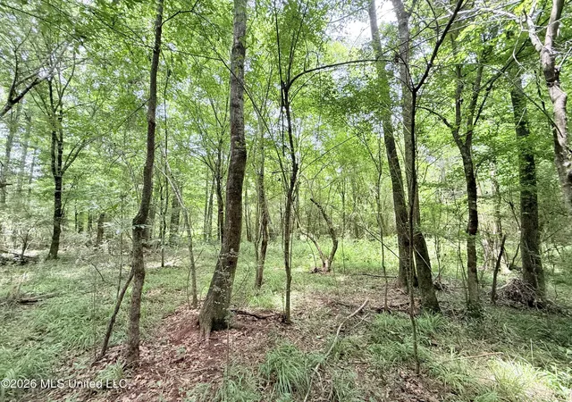 Homes for sale in Summit, MS | Summit Dr, Summit, MS 39666 | MLS# 4153698