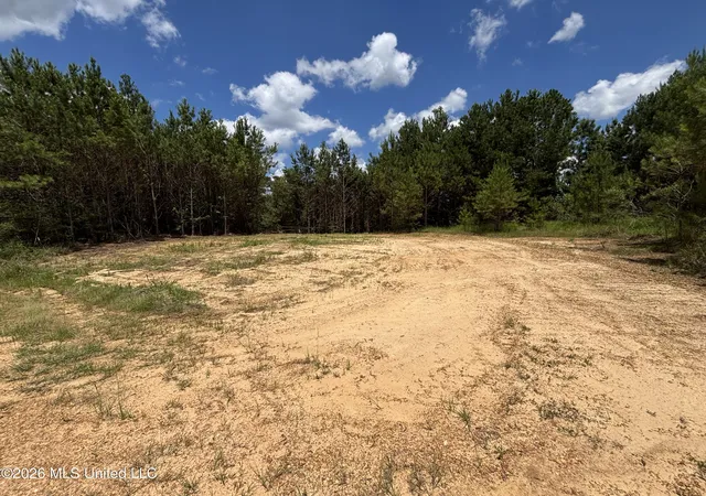 Homes for sale in Crosby, MS | Stump Rd, Crosby, MS 39633 | MLS# 4153651
