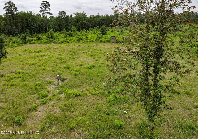 Homes for sale in Liberty, MS | Mary Wall Bridge Rd/mt Vernon, Liberty, MS 39645 | MLS# 4153685
