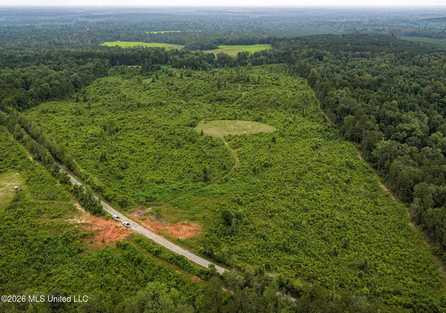 Homes for sale in Liberty, MS | Mary Wall Bridge Rd/mt Vernon, Liberty, MS 39645 | MLS# 4153685
