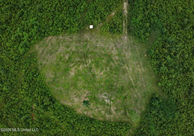 Homes for sale in Liberty, MS | Mary Wall Bridge Rd/Mt Vernon, Liberty, MS 39645 | MLS# 4153685