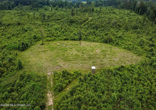 Homes for sale in Liberty, MS | Mary Wall Bridge Rd/Mt Vernon, Liberty, MS 39645 | MLS# 4153685