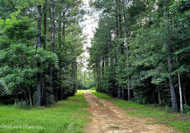 Homes for sale in Osyka, MS | 1179 Shady Grove Rd, Osyka, MS 39657 | MLS# 4153710