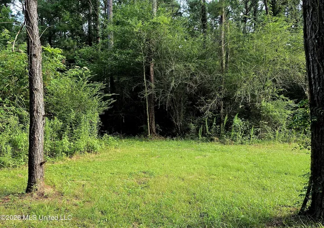 Homes for sale in Osyka, MS | 1179 Shady Grove Rd, Osyka, MS 39657 | MLS# 4153710