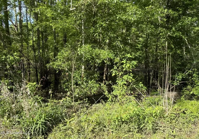 Homes for sale in Lucedale, MS | Nhn Maple Dr, Lucedale, MS 39452 | MLS# 4153805