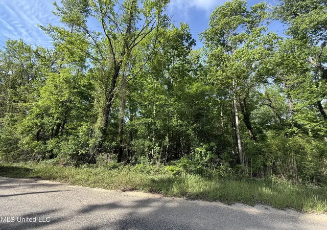 Homes for sale in Lucedale, MS | Nhn Maple Dr, Lucedale, MS 39452 | MLS# 4153805
