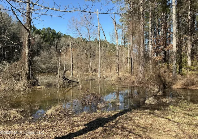Homes for sale in Coffeeville, MS | 793 County Road 229, Coffeeville, MS 38922 | MLS# 4153750