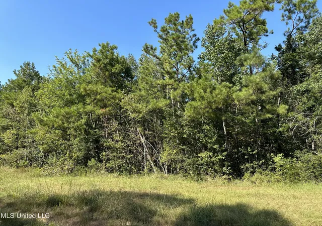 Homes for sale in Lucedale, MS | 924 Acres Crossroads Merrill Rd, Lucedale, MS 39452 | MLS# 4153940