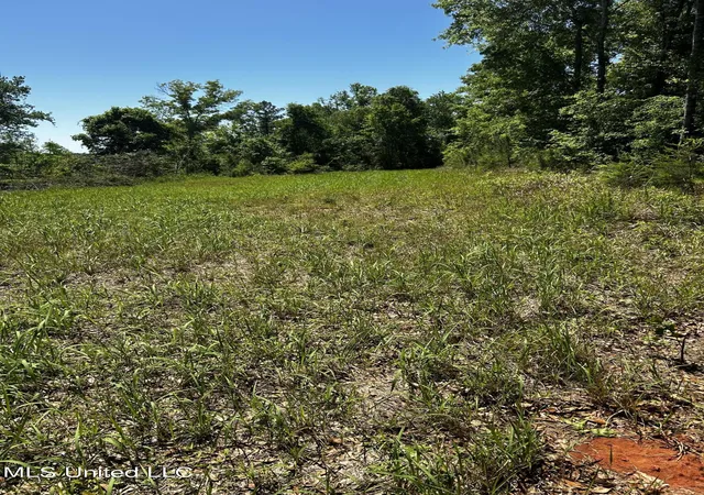 Homes for sale in Lucedale, MS | 924 Acres Crossroads Merrill Rd, Lucedale, MS 39452 | MLS# 4153940