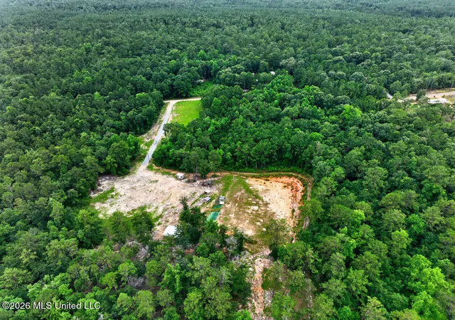 Homes for sale in Mc Henry, MS | 94 Desoto Rd, Mc Henry, MS 39561 | MLS# 4154018