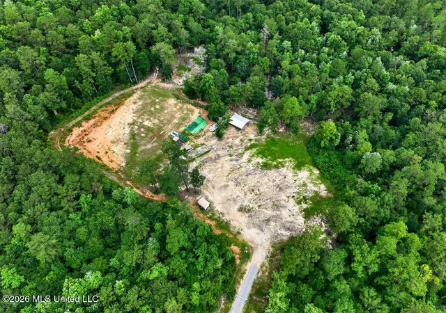 Homes for sale in Mc Henry, MS | 94 Desoto Rd, Mc Henry, MS 39561 | MLS# 4154018
