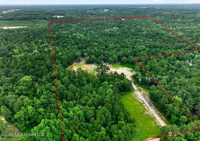 Homes for sale in Mc Henry, MS | 94 Desoto Rd, Mc Henry, MS 39561 | MLS# 4154018