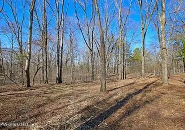 Photo 3 of Land for sale at Northside Dr, Clinton, MS 39056 | MLS# 4153969 | Listing updated on 2026-06-25
