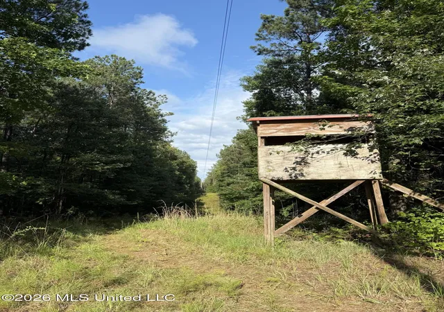 Homes for sale in Mc Cool, MS | Co Rd 2136, Mc Cool, MS 39108 | MLS# 4153995