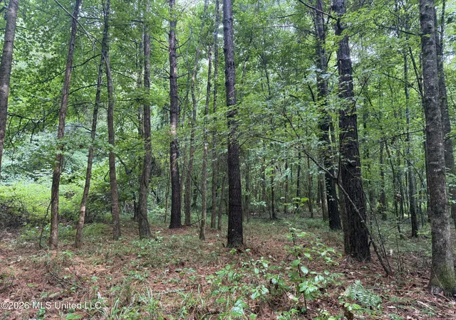 Homes for sale in Mc Cool, MS | Co Rd 2136, Mc Cool, MS 39108 | MLS# 4153995