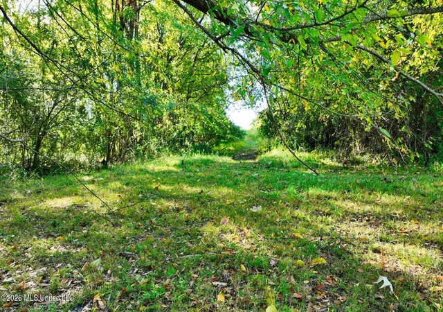 Photo 4 of Land for sale at 0 Hacks Cross Rd, Olive Branch, MS 38654 | MLS# 4153895 | Listing updated on 2026-09-05