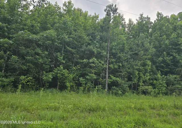 Homes for sale in Senatobia, MS | 6 Gravel Springs Rd, Senatobia, MS 38668 | MLS# 4153920