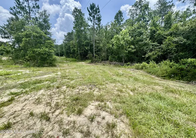 Homes for sale in Perkinston, MS | 27225 W Bull Creek Dr, Perkinston, MS 39573 | MLS# 4153983