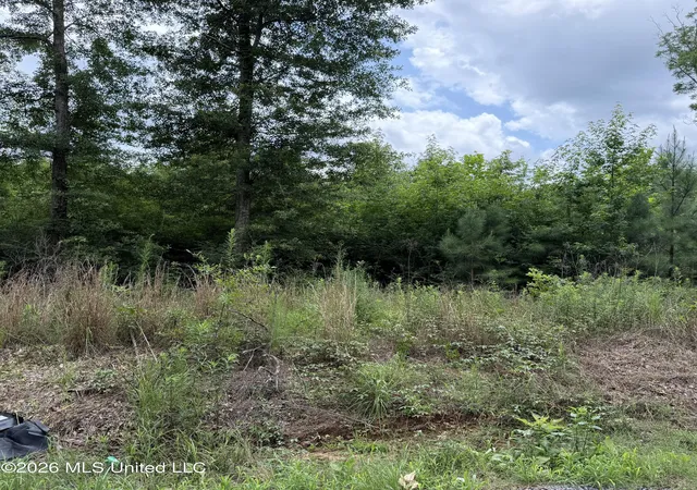 Homes for sale in Forest, MS | Midway Odom Rd, Forest, MS 39074 | MLS# 4154001