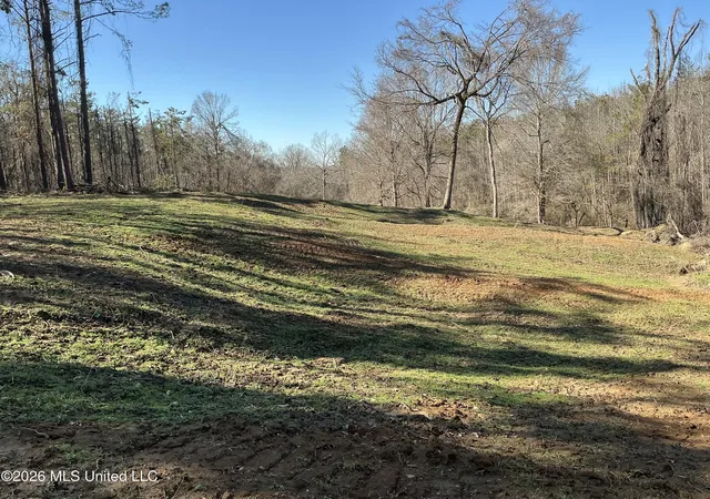 Homes for sale in Carrollton, MS | Norwood Rd, Carrollton, MS 38917 | MLS# 4154044