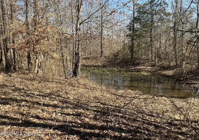 Homes for sale in Carrollton, MS | Norwood Rd, Carrollton, MS 38917 | MLS# 4154044