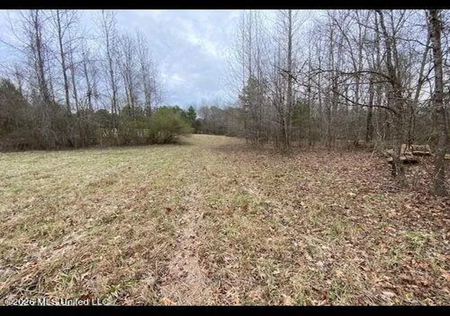 Homes for sale in Batesville, MS | 19576 Mississippi 6, Batesville, MS 38606 | MLS# 4154065