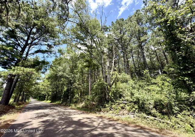Homes for sale in Smithdale, MS | Xxx W Lincoln Dr, Smithdale, MS 39664 | MLS# 4154243