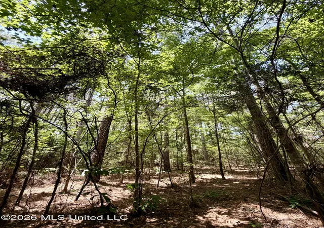 Homes for sale in Smithdale, MS | Xxx W Lincoln Dr, Smithdale, MS 39664 | MLS# 4154243