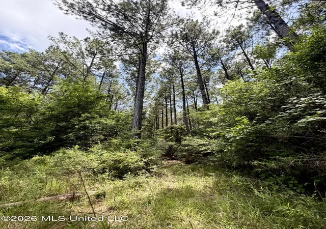 Homes for sale in Smithdale, MS | Xxx W Lincoln Dr, Smithdale, MS 39664 | MLS# 4154243