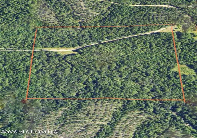 Homes for sale in Leakesville, MS | 40ac 31092 Ms 63, Leakesville, MS 39451 | MLS# 4154284