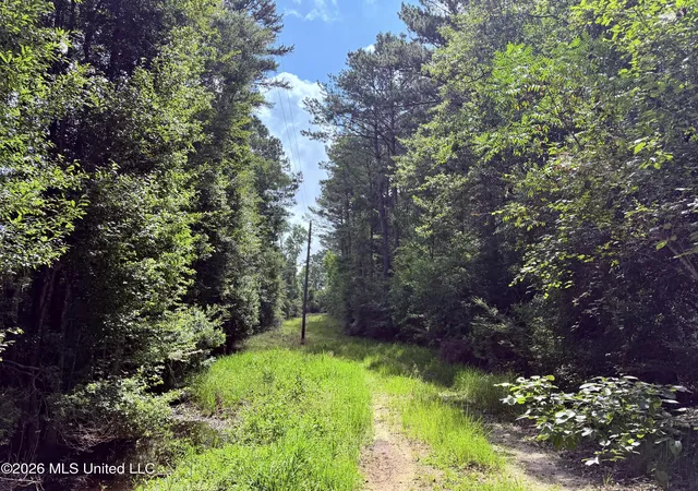 Homes for sale in Leakesville, MS | 40ac 31092 Ms 63, Leakesville, MS 39451 | MLS# 4154284