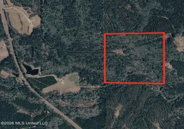 Homes for sale in Leakesville, MS | 40ac 31092 Ms 63, Leakesville, MS 39451 | MLS# 4154284