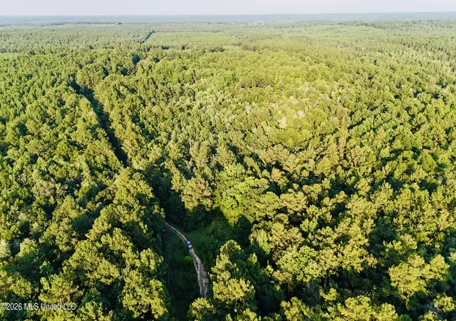 Homes for sale in Leakesville, MS | 40Ac 31092 Ms-63, Leakesville, MS 39451 | MLS# 4154284