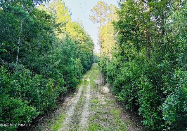 Homes for sale in Leakesville, MS | 40Ac 31092 Ms-63, Leakesville, MS 39451 | MLS# 4154284