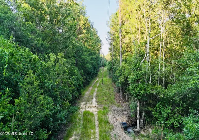 Homes for sale in Leakesville, MS | 40Ac 31092 Ms-63, Leakesville, MS 39451 | MLS# 4154284