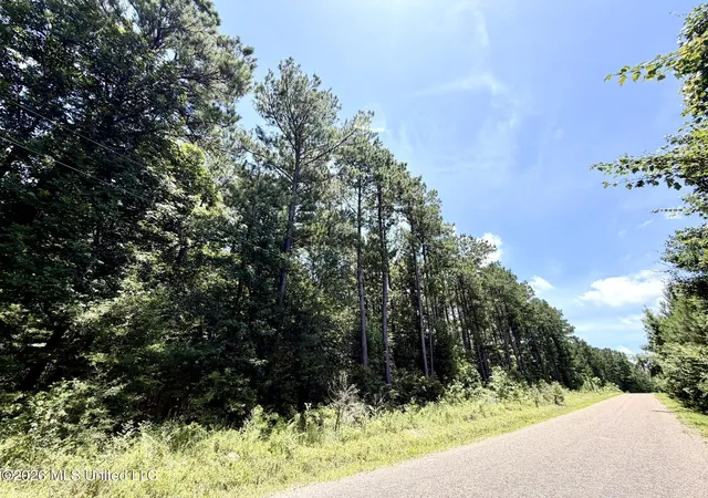 Homes for sale in Smithdale, MS | 2497 Sw Linfrank Line Dr, Smithdale, MS 39664 | MLS# 4154245