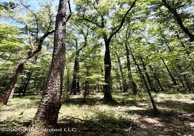 Homes for sale in Smithdale, MS | 2497 Sw Linfrank Line Dr, Smithdale, MS 39664 | MLS# 4154245