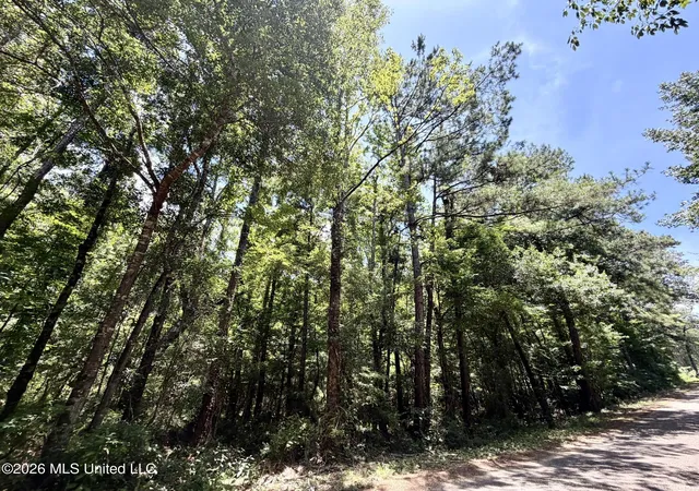 Homes for sale in Smithdale, MS | Sw Linfrank Line Dr, Smithdale, MS 39664 | MLS# 4154247