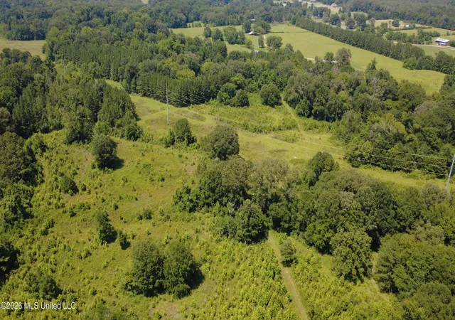 Homes for sale in Terry, MS | 13610 Lebanon Pinegrove Rd, Terry, MS 39170 | MLS# 4154886