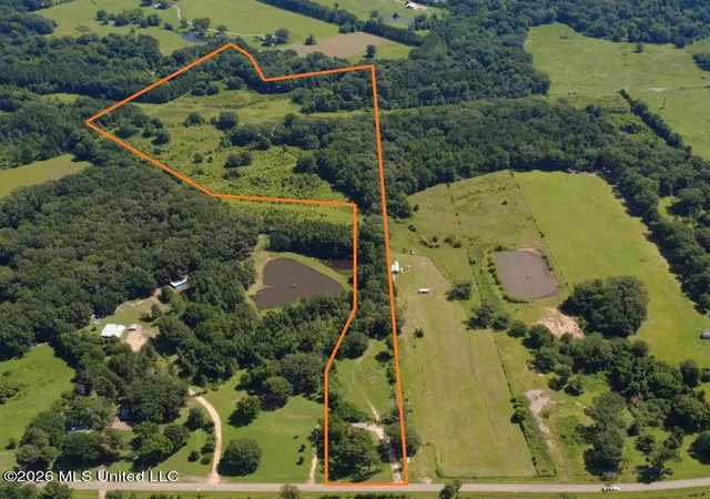 Homes for sale in Terry, MS | 13610 Lebanon Pinegrove Rd, Terry, MS 39170 | MLS# 4154886