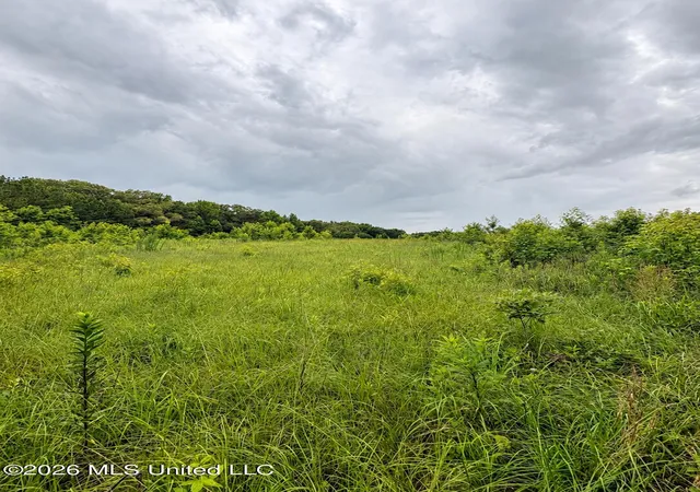 Homes for sale in Terry, MS | 13610 Lebanon Pinegrove Rd, Terry, MS 39170 | MLS# 4154886