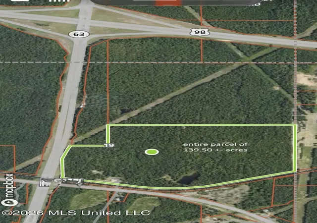 14th image of 127+  Ac Mississippi 198, Lucedale, MS 39452 | MLS# 4154332