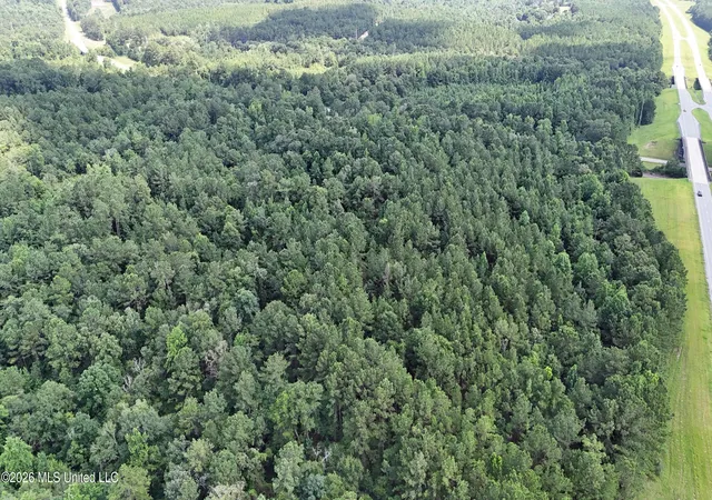 2nd image of 127+  Ac Mississippi 198, Lucedale, MS 39452 | MLS# 4154332