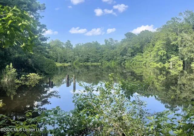 5th image of 127+- Ac Mississippi 198, Lucedale, MS 39452 | MLS# 4154332