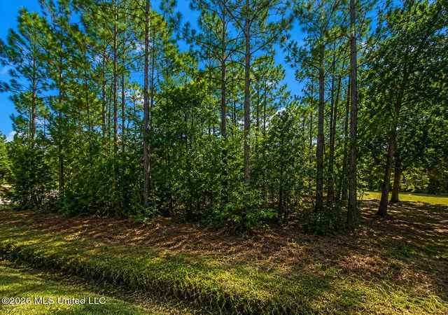Homes for sale in Waveland, MS | 0 Polk St, Waveland, MS 39520 | MLS# 4154259