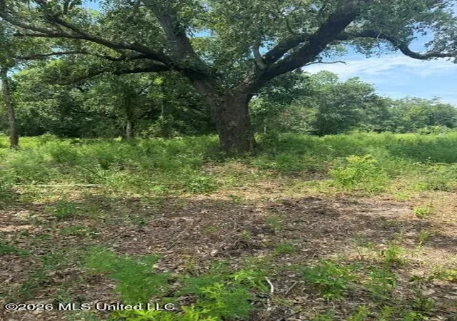 Homes for sale in Bay Saint Louis, MS | 10028 E Bayou Rd, Bay Saint Louis, MS 39520 | MLS# 4154277