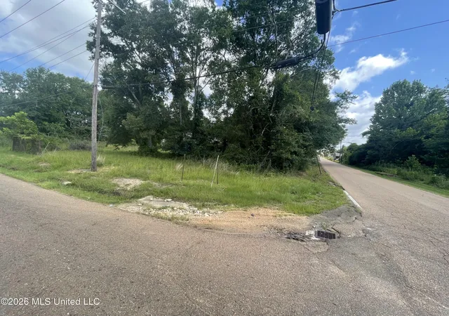 Homes for sale in Brookhaven, MS | 206 E Enterprise St, Brookhaven, MS 39601 | MLS# 4154530