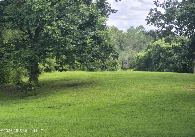 Homes for sale in Carthage, MS | 1200 Chetwood Rd, Carthage, MS 39051 | MLS# 4154286